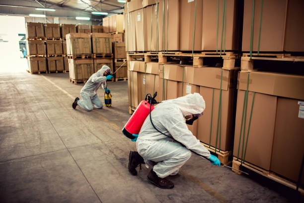 Best Cockroach Control Services  in Perry Park, CO
