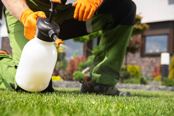 Best Exterminator Services  in Perry Park, CO