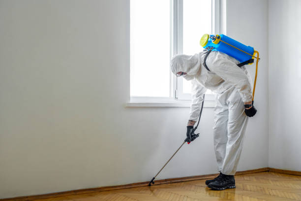 Best Insect Control  in Perry Park, CO