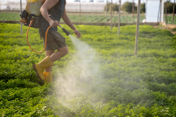 Best Pest Prevention Services  in Perry Park, CO