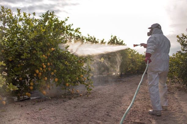 Pest Control Cost in Perry Park, CO