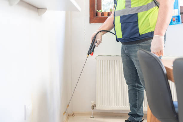 Best Affordable Pest Control Services  in Perry Park, CO