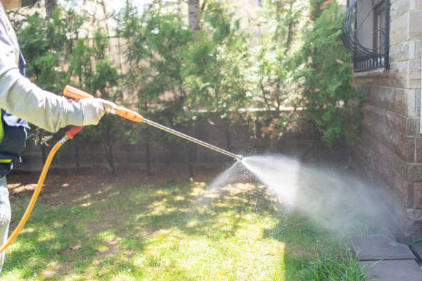 Best Best Pest Control Companies  in Perry Park, CO