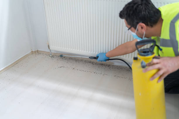 Best Pest Control Treatment  in Perry Park, CO