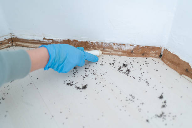 Best Commercial Pest Control Services  in Perry Park, CO