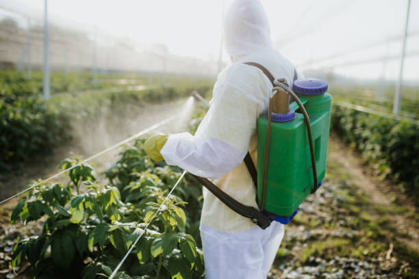 Reliable Perry Park, CO Pest Control Solutions